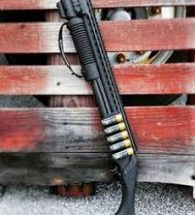 Long Guns & Shotguns